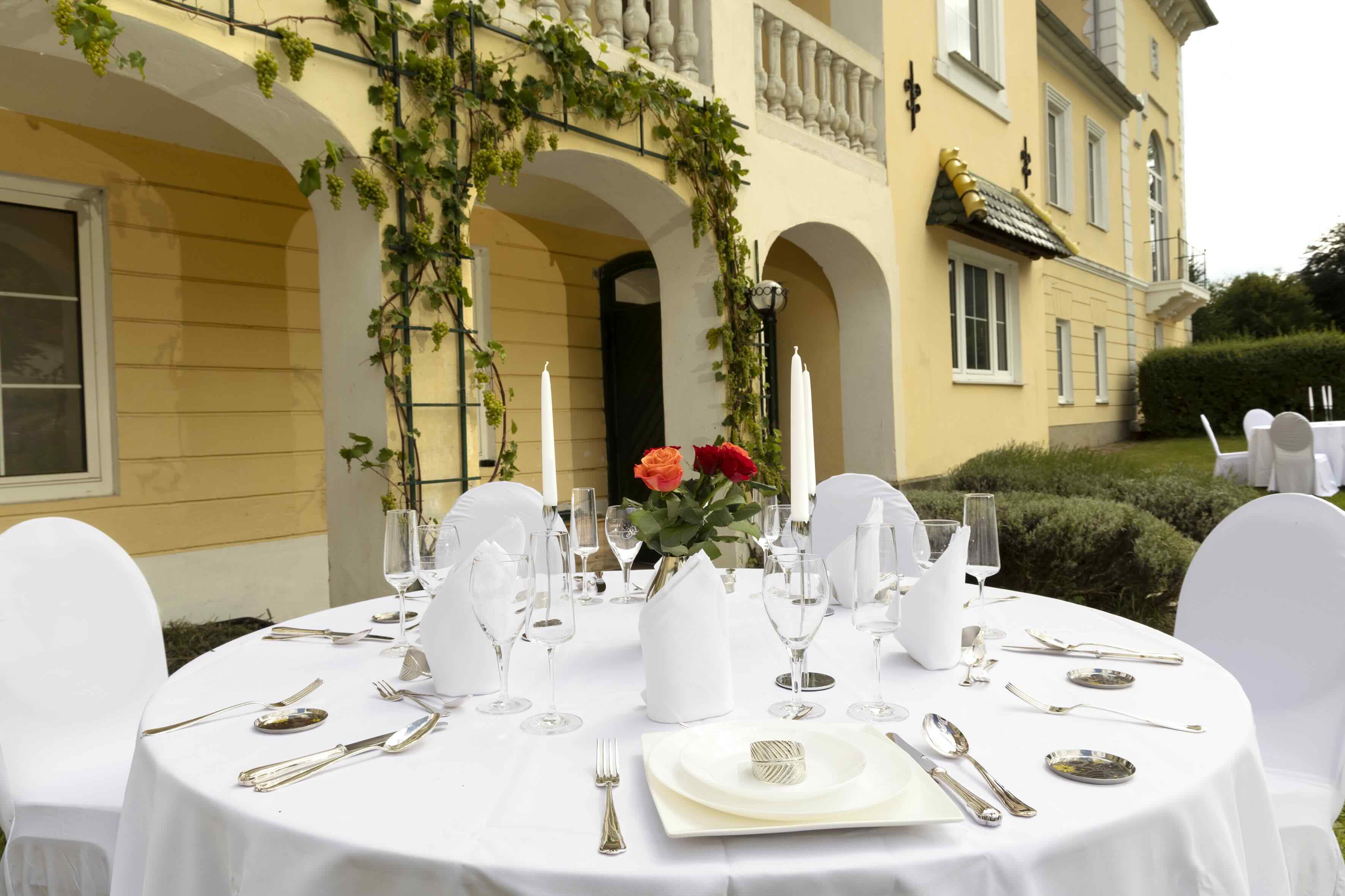 Terrace and garden area